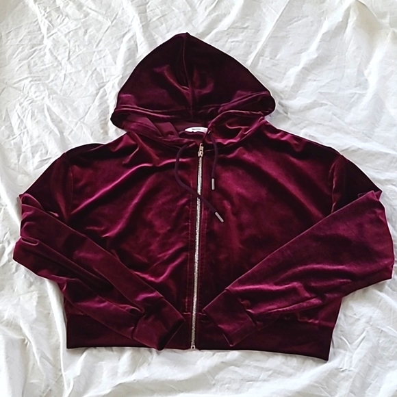Bluenote Burgundy Velvet Cropped Zipper Hoodie, Size S - Picture 3 of 7